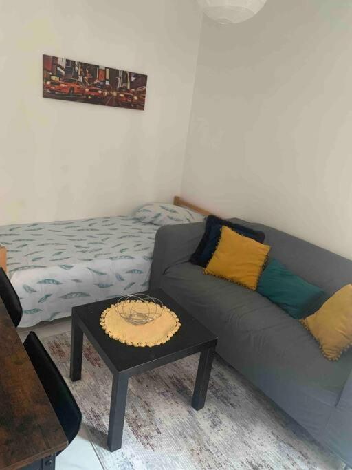 Dijon: Superbe Appartement En Hyper Centre Eksteriør billede