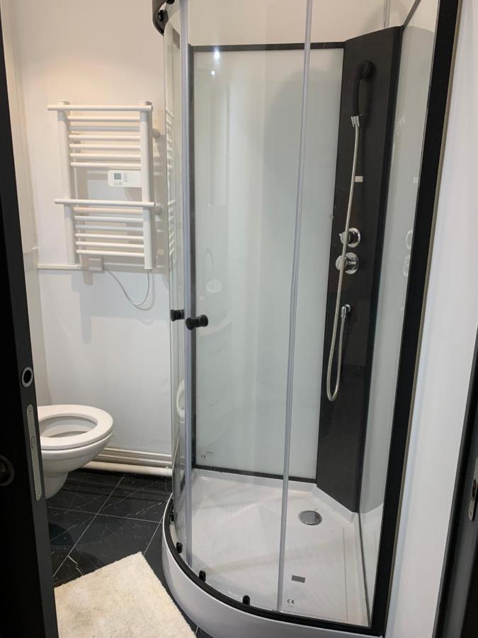 Dijon: Superbe Appartement En Hyper Centre Eksteriør billede